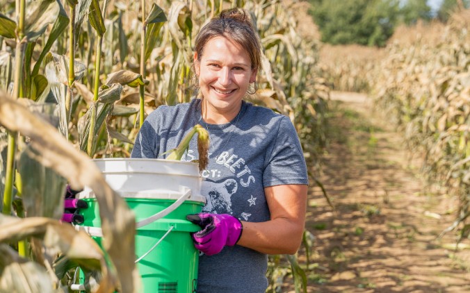 Una empleada de IncredibleBank que trabaja como voluntaria recogiendo maíz en un campo agrícola.